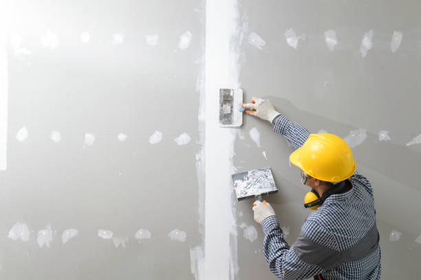 Best Mold Remediation for Healthcare Facilities  in Hayden, AL