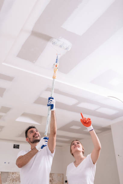 Best Basement Mold Removal  in Hayden, AL