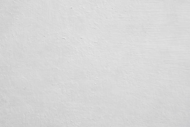 Trusted Hayden, AL Mold Removal Experts