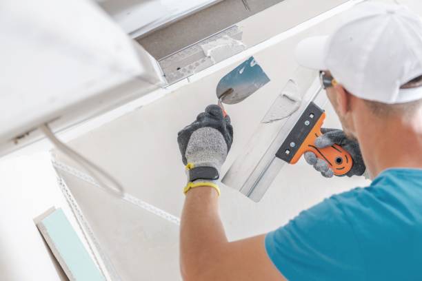 Best Comprehensive Air Testing for Mold Contaminants  in Hayden, AL